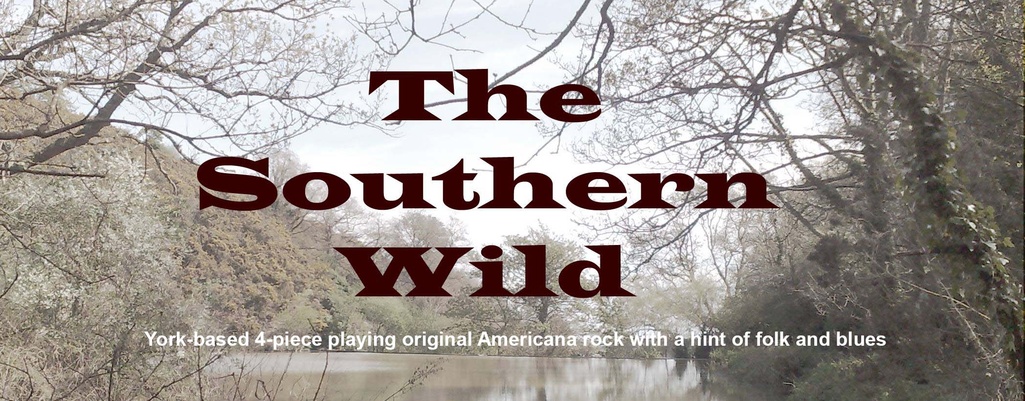 The Southern Wild, York-based 4-piece Americana/rock/folk/blues